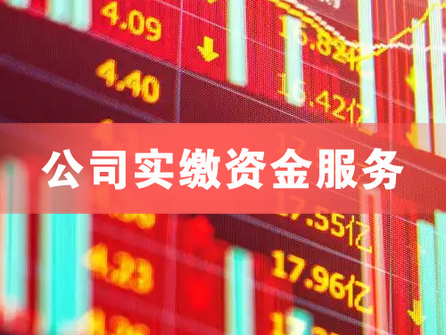 都江堰公司实缴资金服务